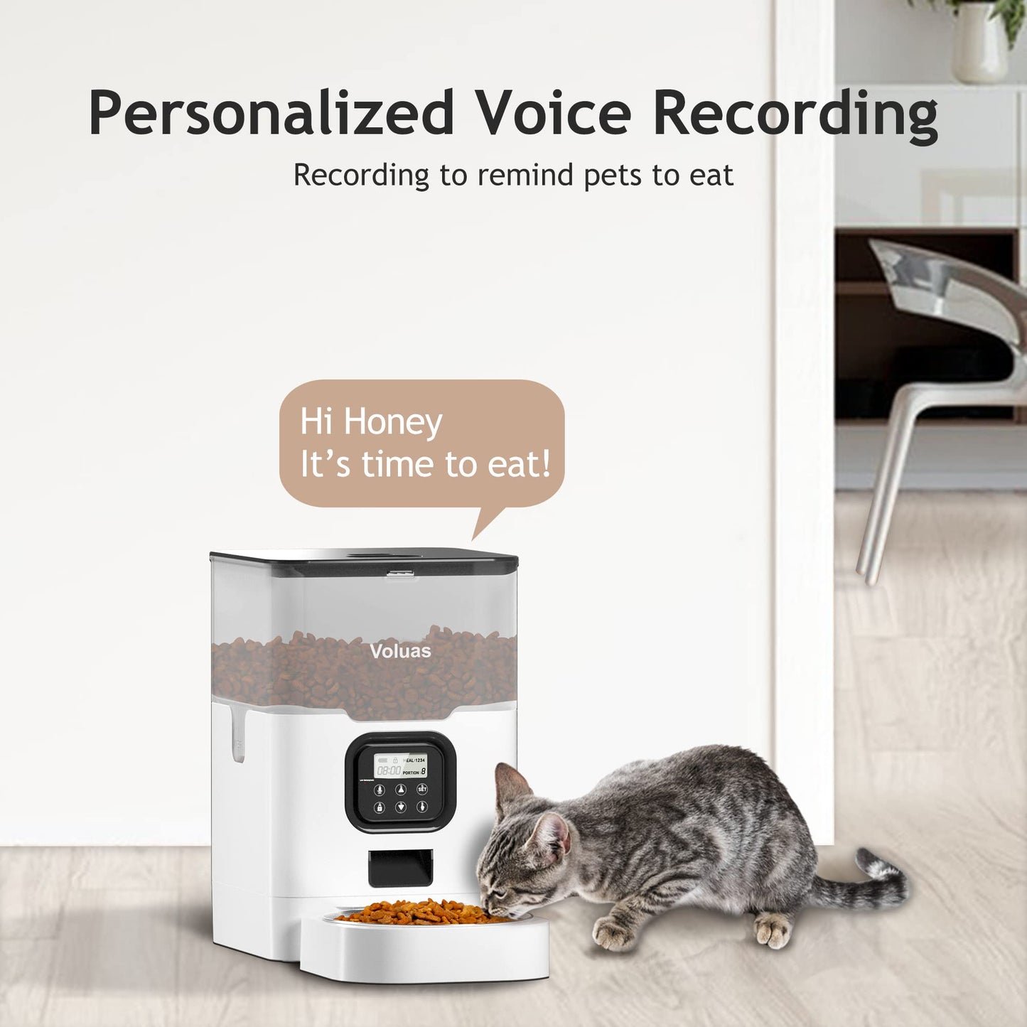 Auto Cat & Dog Feeder with Timer & Voice