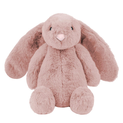 Duck Crinkle Dog Toy