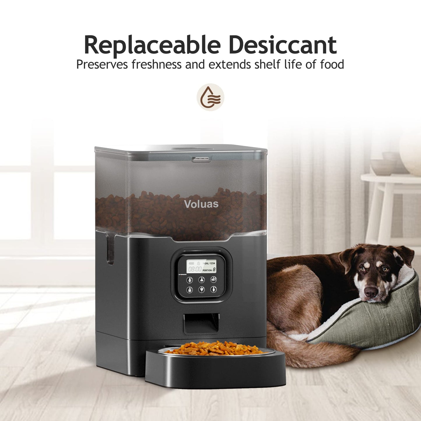 Auto Cat & Dog Feeder with Timer & Voice