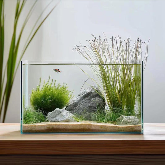 3 Gallon Glass Fish Tank
