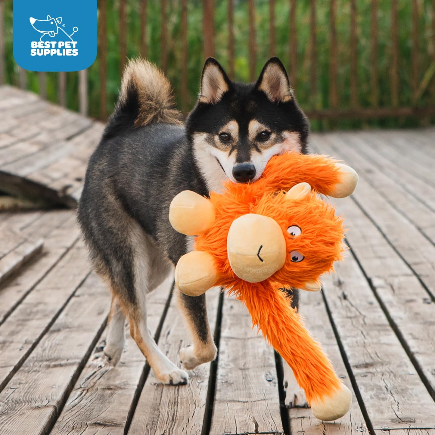 Duck Crinkle Dog Toy