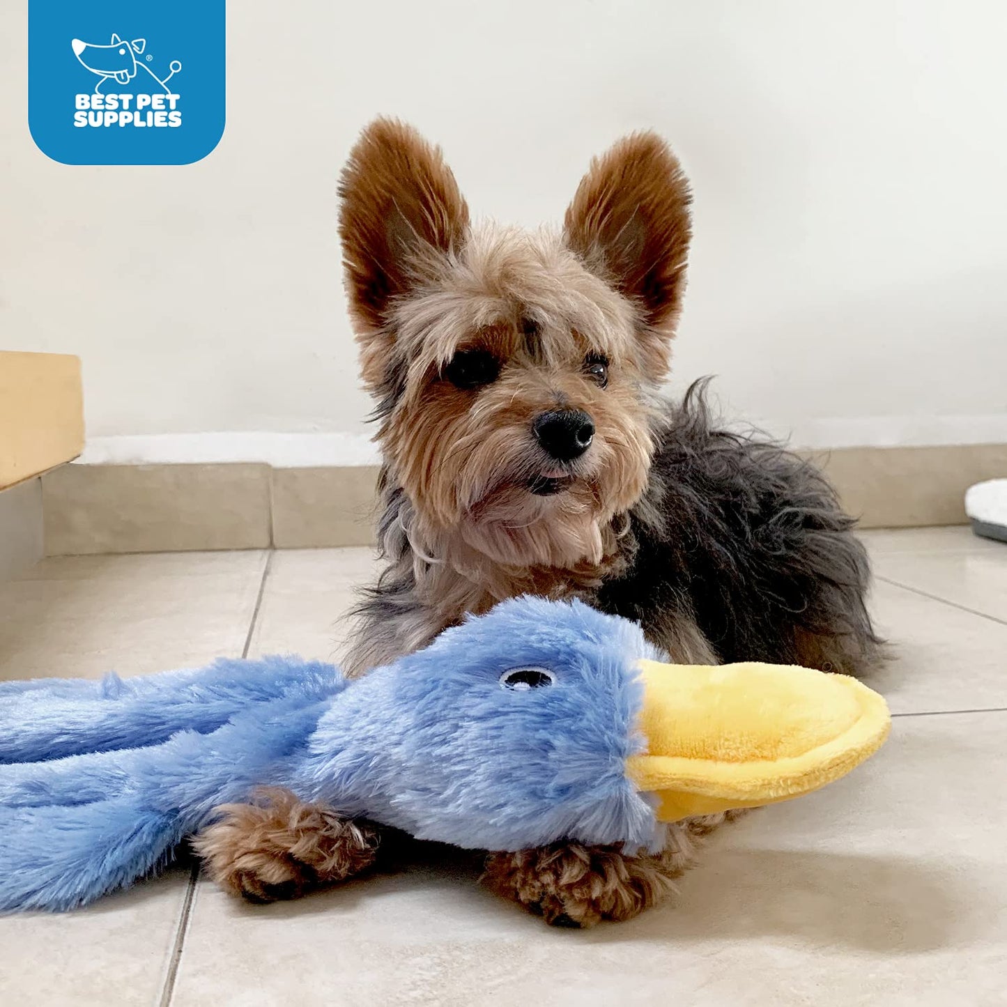 Duck Crinkle Dog Toy