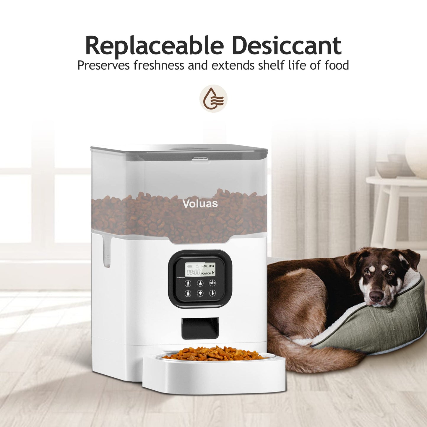 Auto Cat & Dog Feeder with Timer & Voice