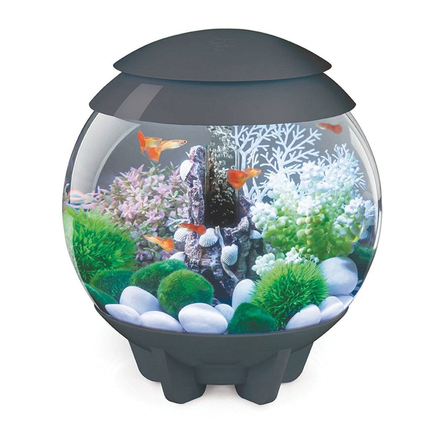 biOrb Halo 15 LED Tank, 4-Gal