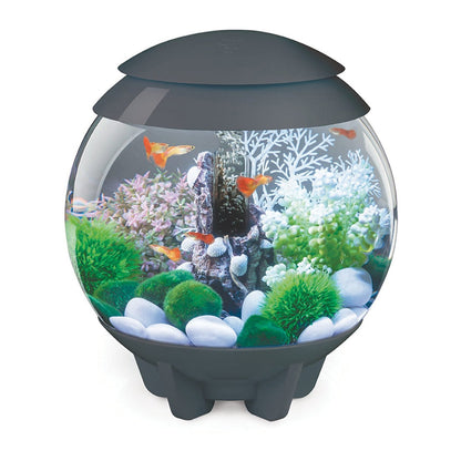 biOrb Halo 15 LED Tank, 4-Gal