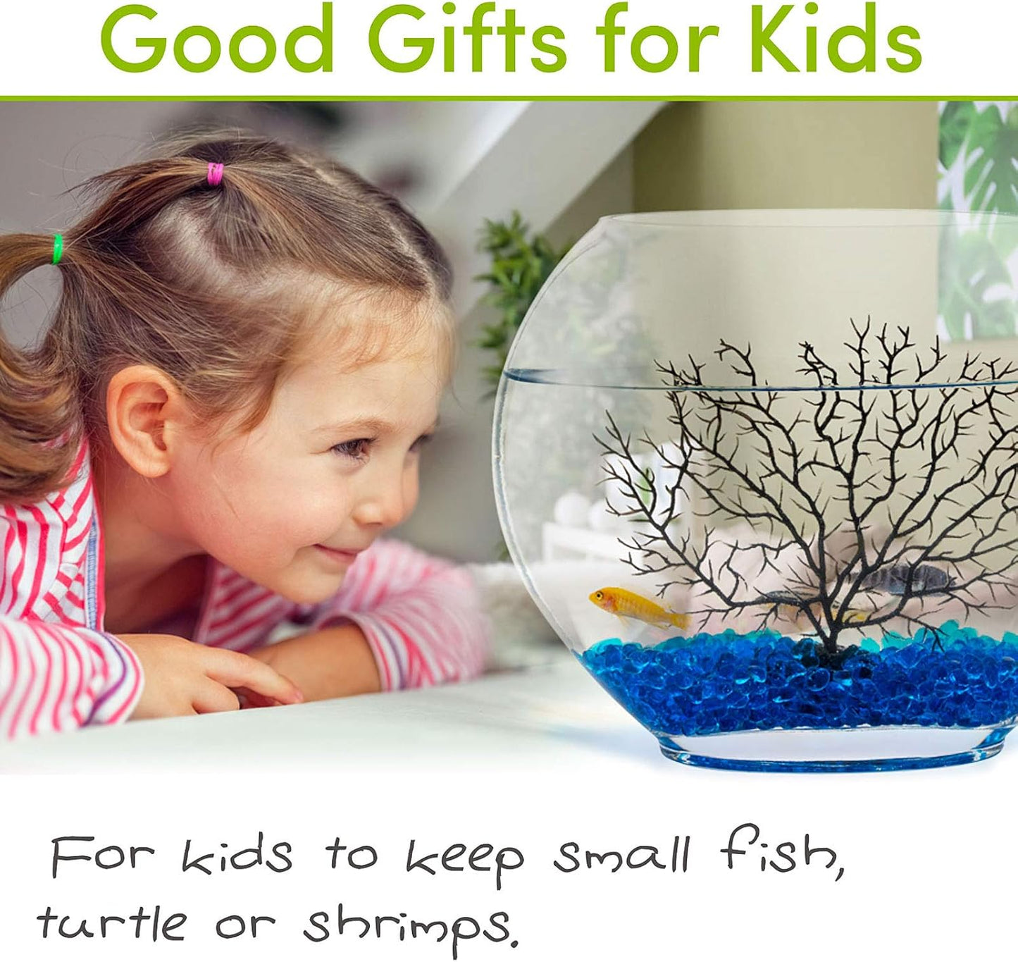 Mini Fish Bowl Kit with Decor