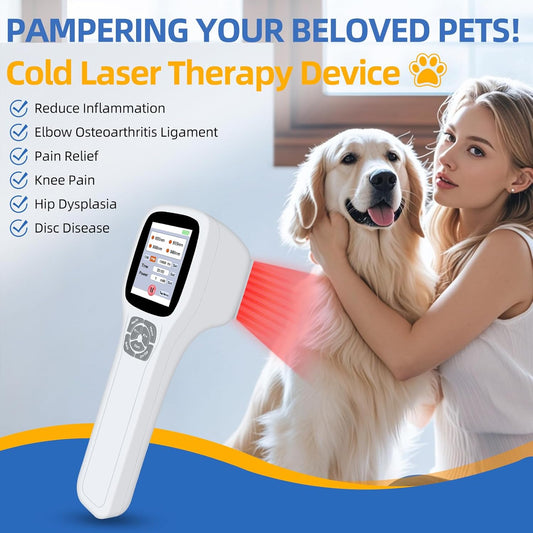 Pet Laser Therapy – Pain Relief & Healing