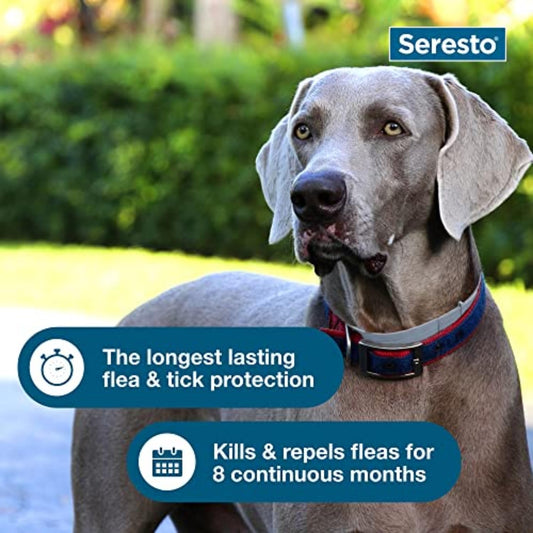 Seresto Large Dog Flea Collar