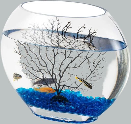 Mini Fish Bowl Kit with Decor