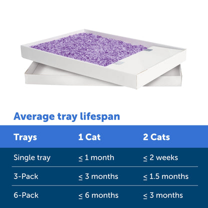 PetSafe ScoopFree Cat Litter 6-Pack