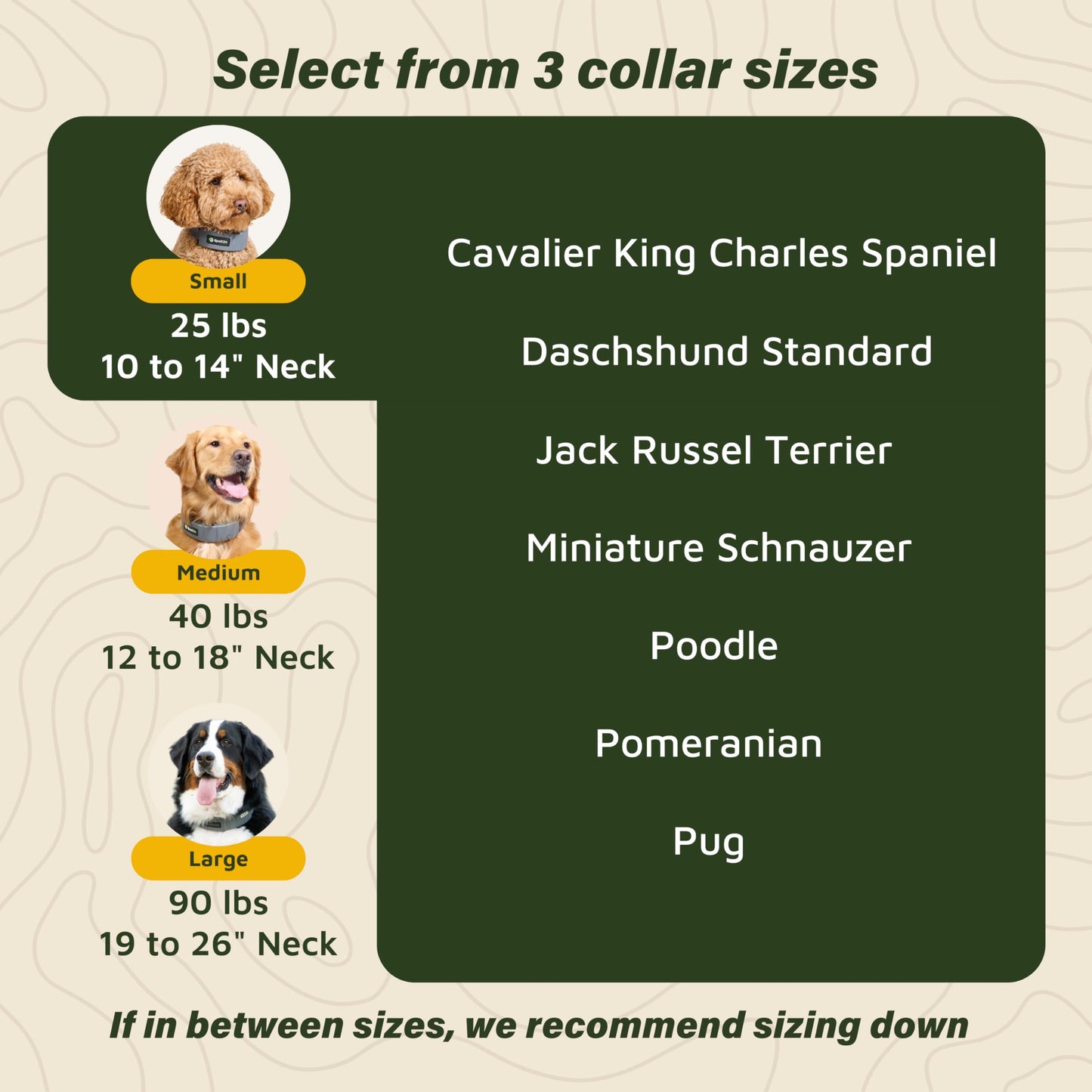 SpotOn GPS Wireless Dog Fence Collar, Accurate & Reliable, Unlimited Fences, Extended Battery Life Mode, No Subscription, Built in USA, Omni Collar Model, Large Dog Breed Neck Size 19"-26"