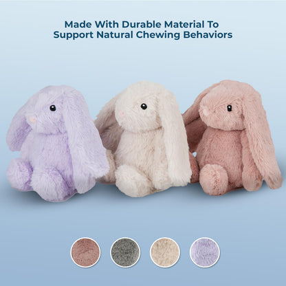 Duck Crinkle Dog Toy