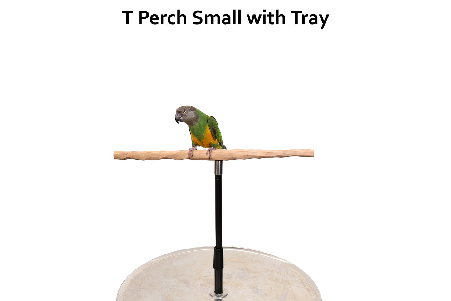 XL Parrot Training Perch with Potty Tray