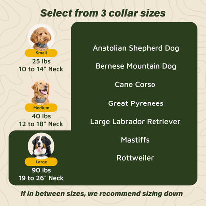 SpotOn GPS Wireless Dog Fence Collar, Accurate & Reliable, Unlimited Fences, Extended Battery Life Mode, No Subscription, Built in USA, Omni Collar Model, Large Dog Breed Neck Size 19"-26"