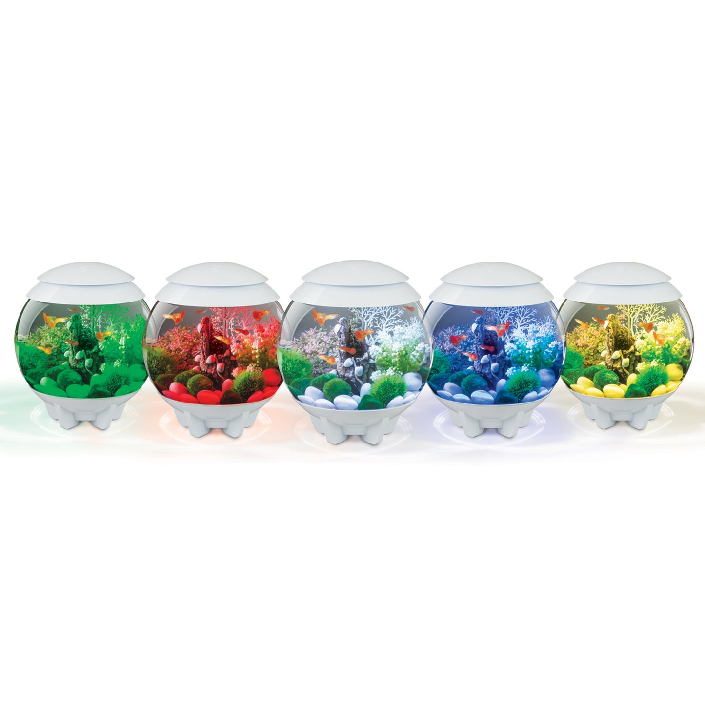 biOrb Halo 15 LED Tank, 4-Gal