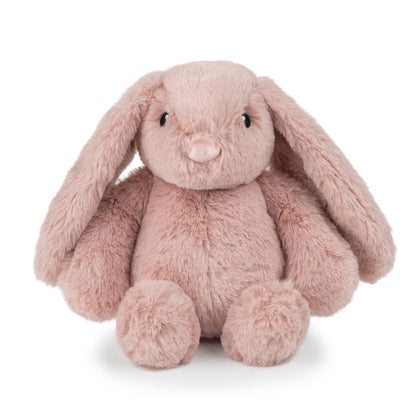 Duck Crinkle Dog Toy