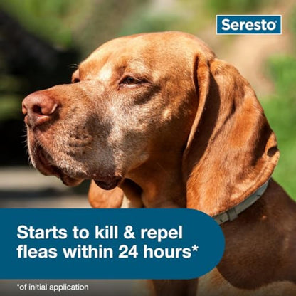Seresto Large Dog Flea Collar