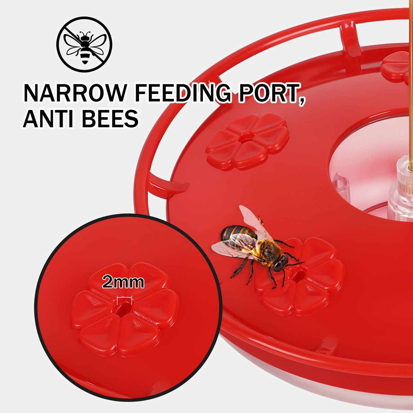 eWonLife 2-Pack Hummingbird Feeders, 16oz