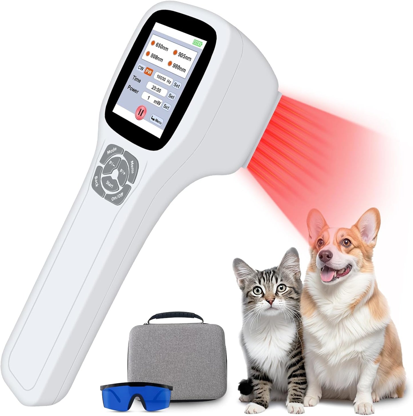 Pet Laser Therapy – Pain Relief & Healing
