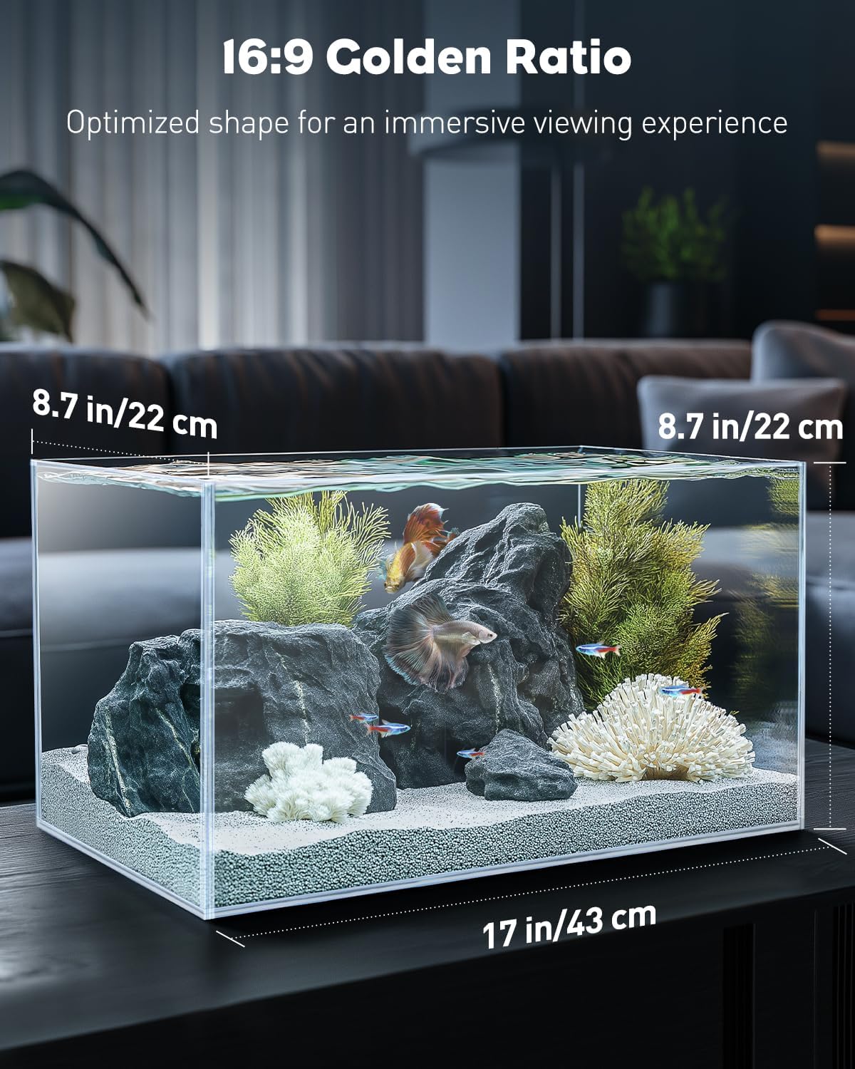 5 Gallon Rimless Aquarium Kit