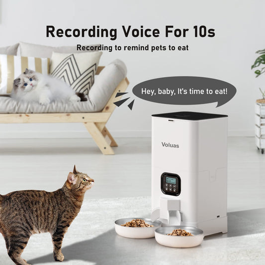 Voluas Dual Cat Feeder 6L Timer Bowls