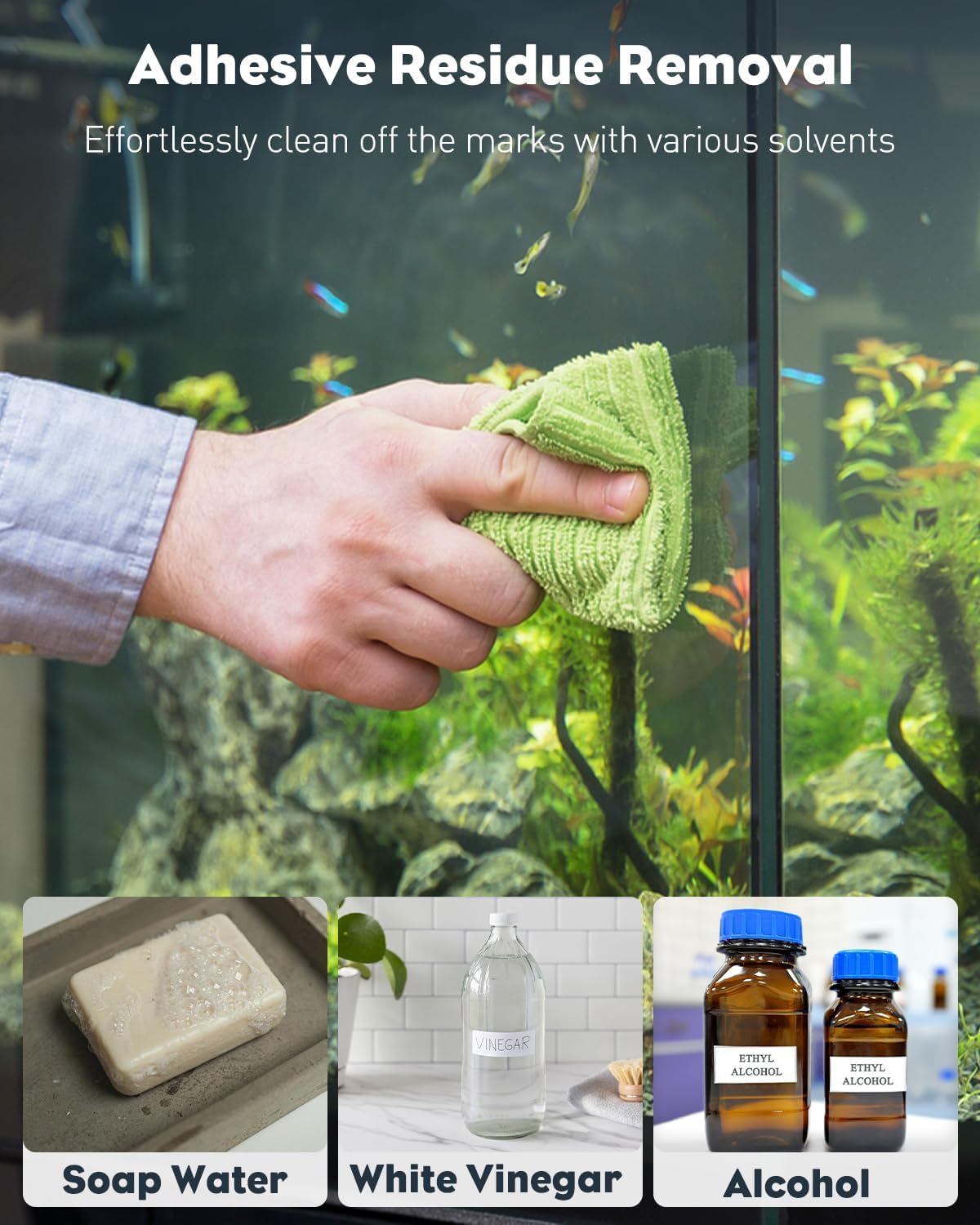 5 Gallon Rimless Aquarium Kit