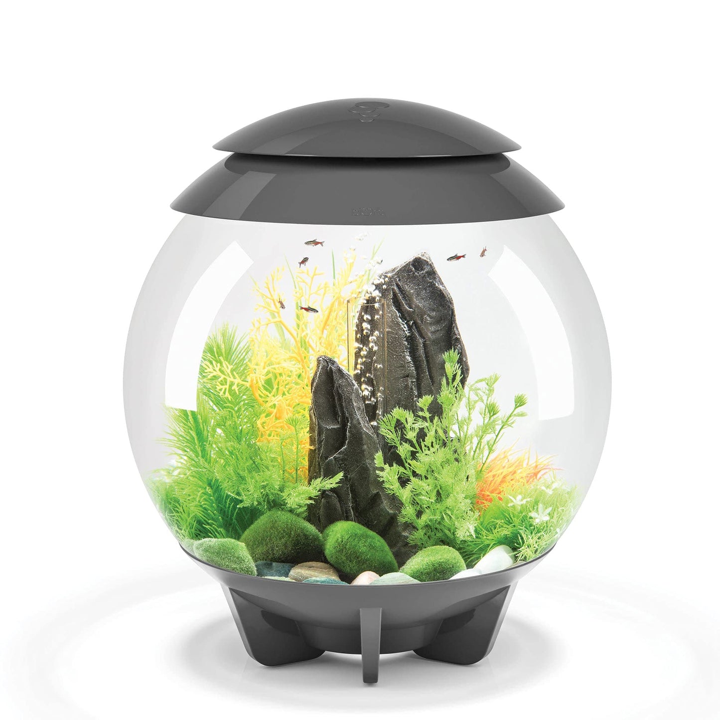 biOrb Halo 15 LED Tank, 4-Gal