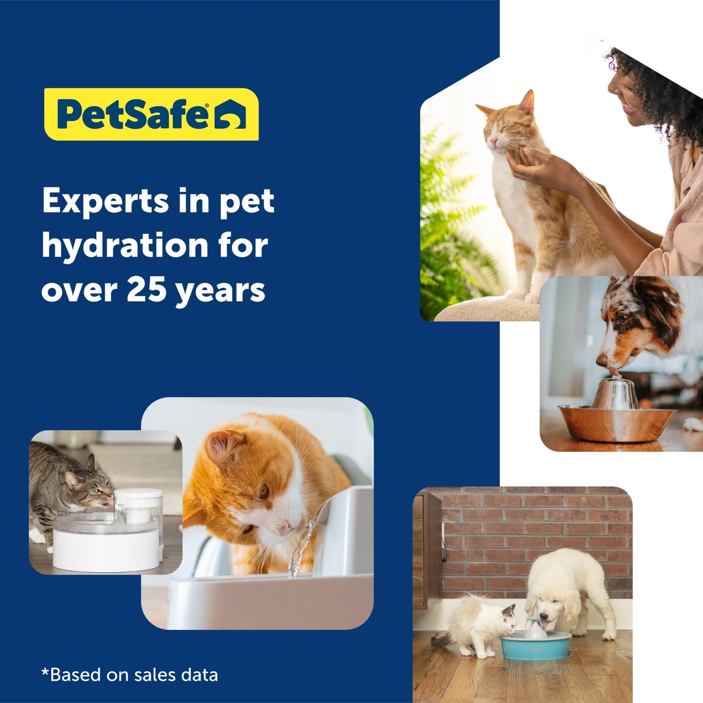 PetSafe ScoopFree Cat Litter 6-Pack