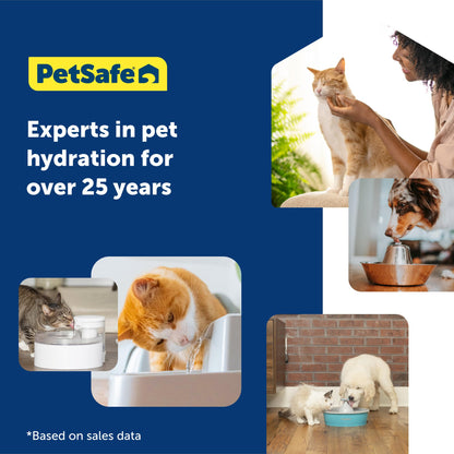 PetSafe ScoopFree Cat Litter 6-Pack