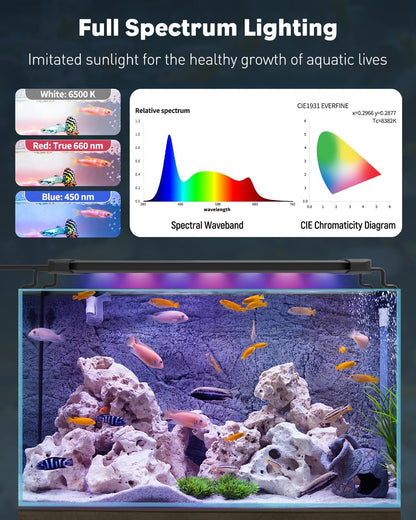 5 Gallon Rimless Aquarium Kit