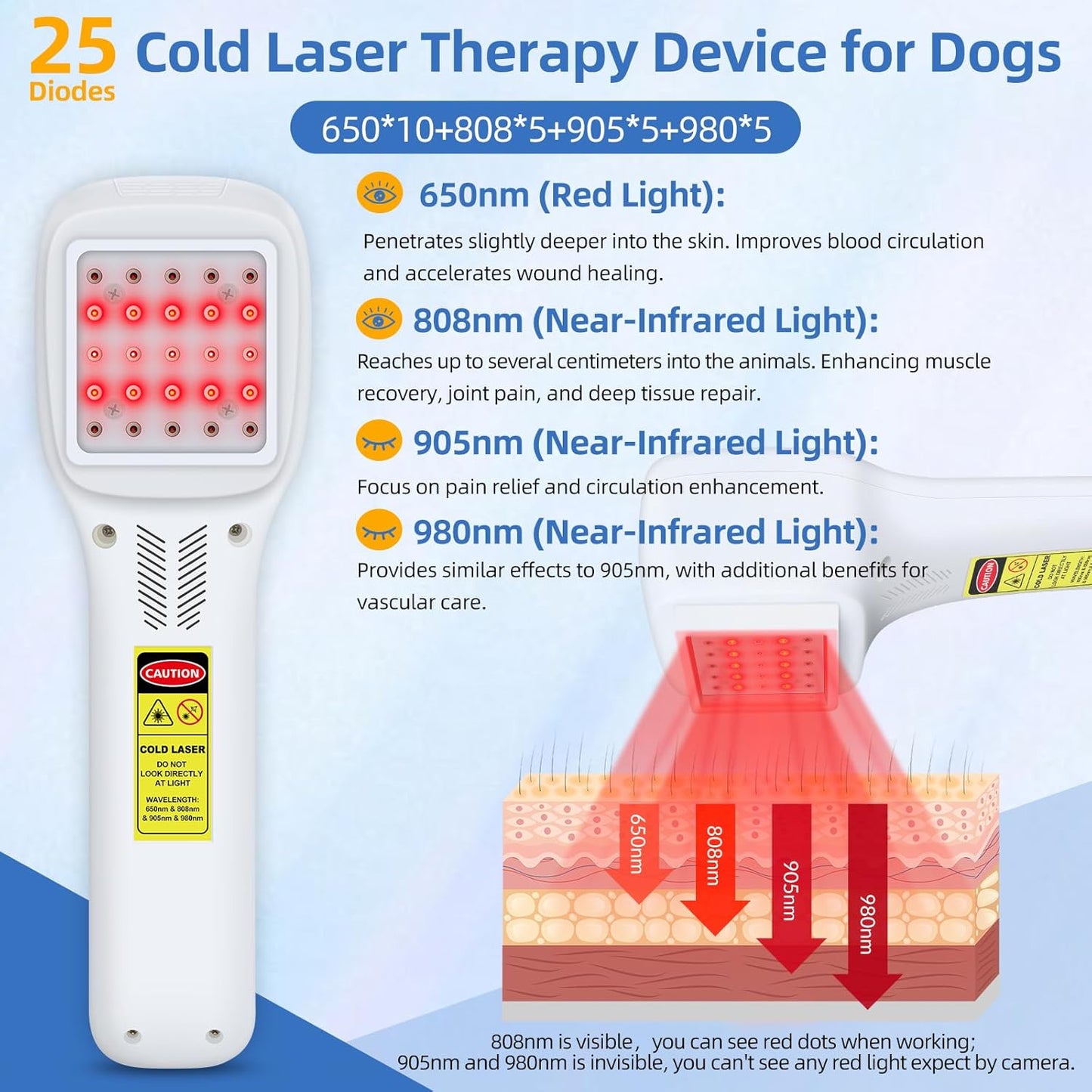 Pet Laser Therapy – Pain Relief & Healing