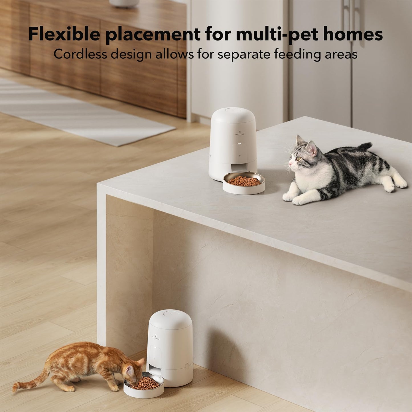 PETLIBRO 2L Wi-Fi Cat Feeder – Black