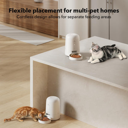PETLIBRO 2L Wi-Fi Cat Feeder – Black