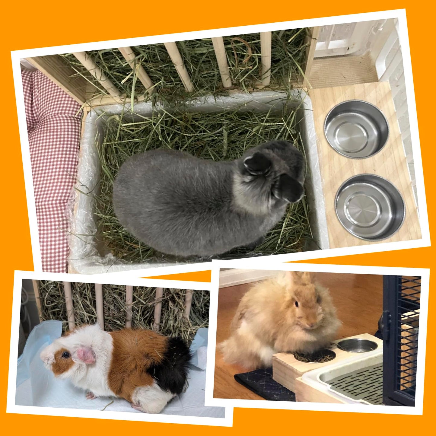 3-in-1 Rabbit Feeder with Litter Box & Bowls