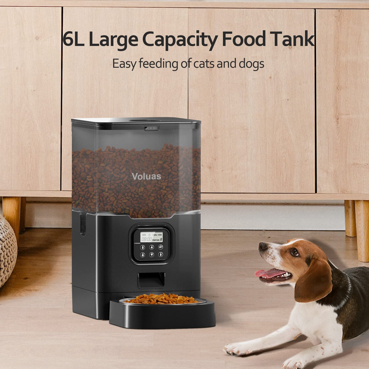 Auto Cat & Dog Feeder with Timer & Voice