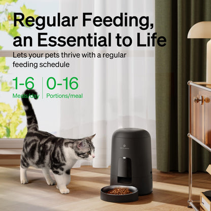 PETLIBRO 2L Wi-Fi Cat Feeder – Black