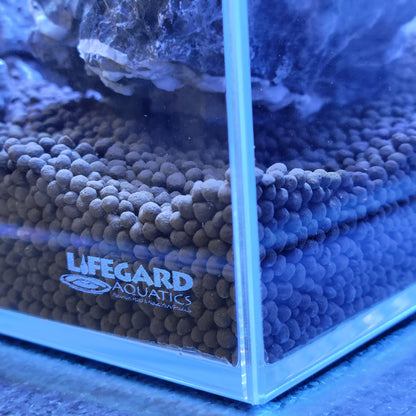 Lifegard 16-Gallon Glass Aquarium