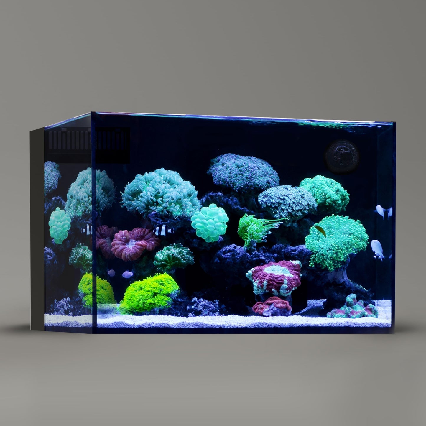 SLanden 60P Rimless Aquarium 26 Gal