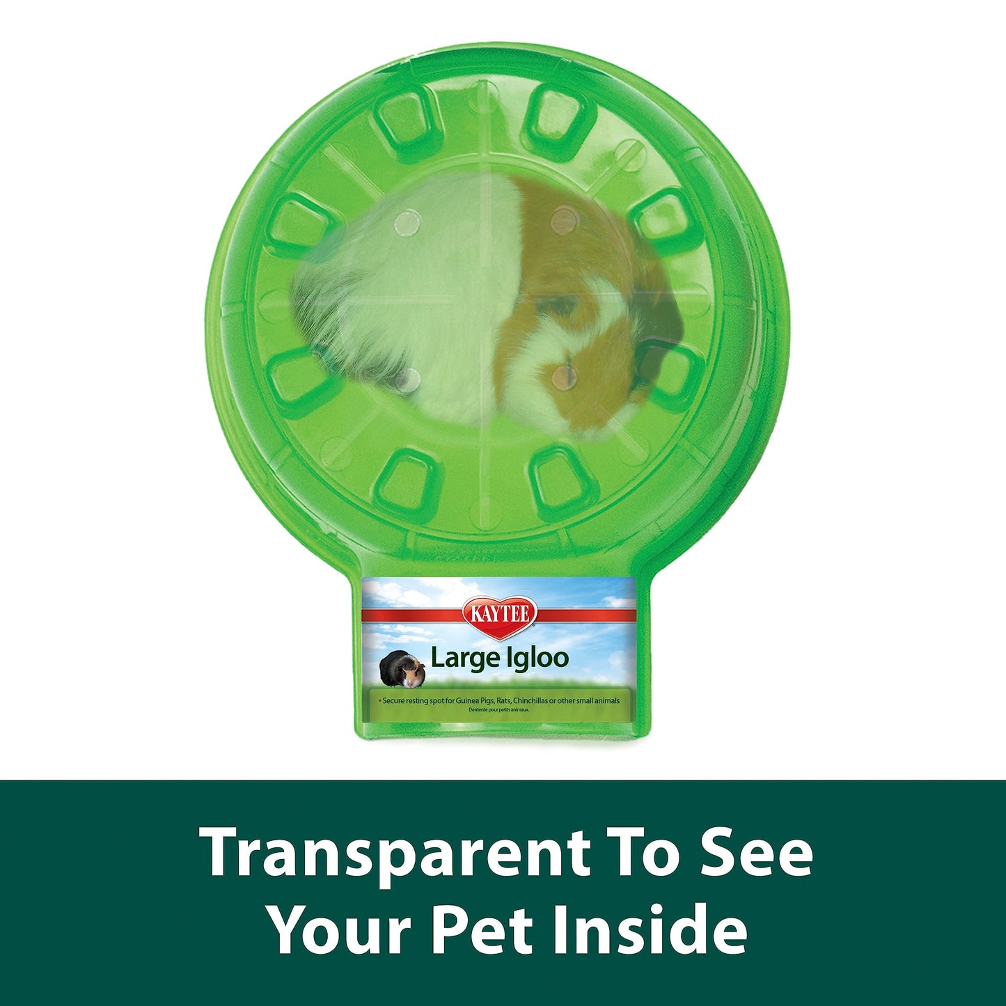 Kaytee Mini Pet Igloo