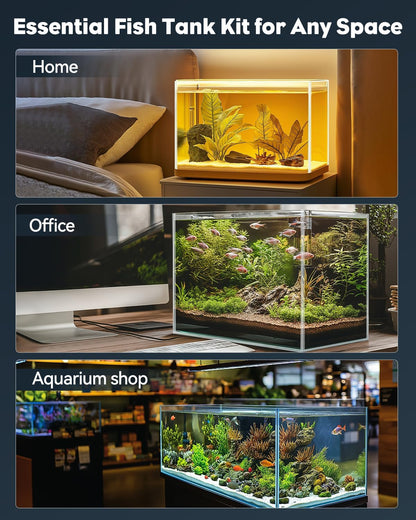 5 Gallon Rimless Aquarium Kit
