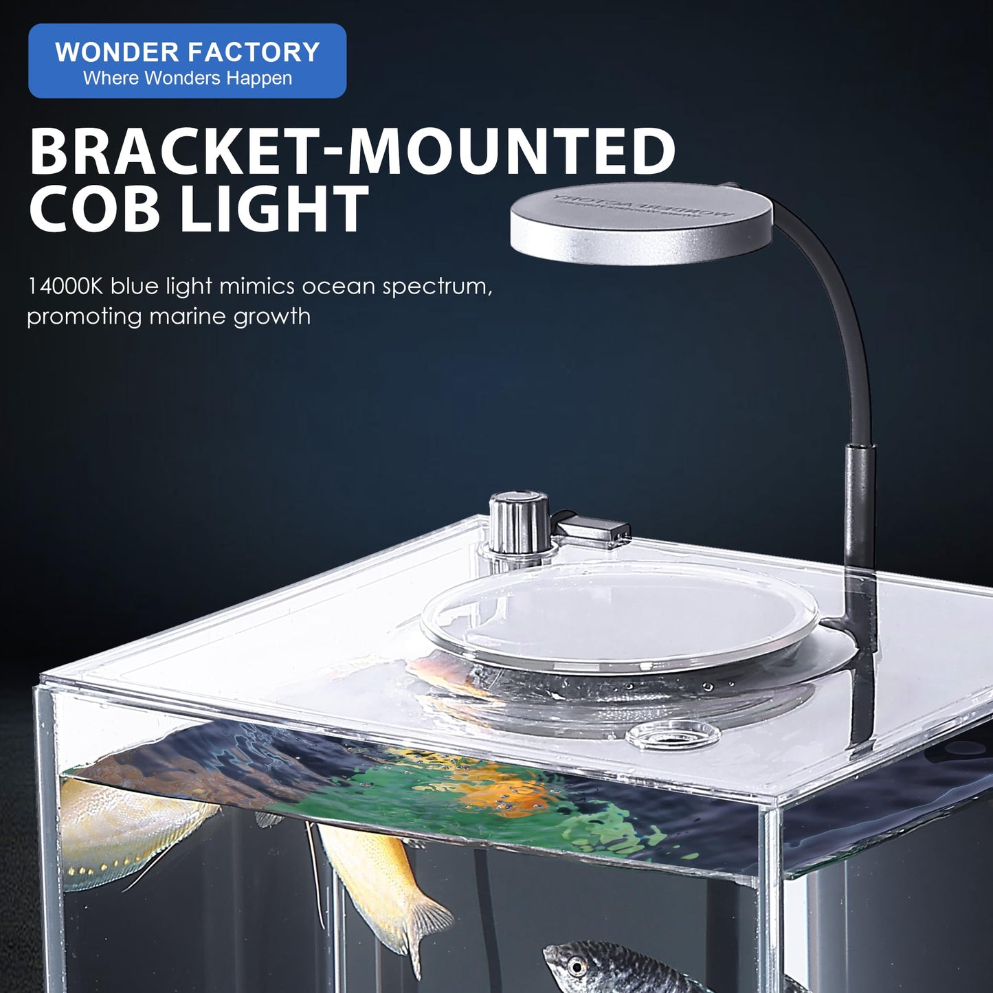 Betta Fish Tank 1.25 Gal Starter Kit