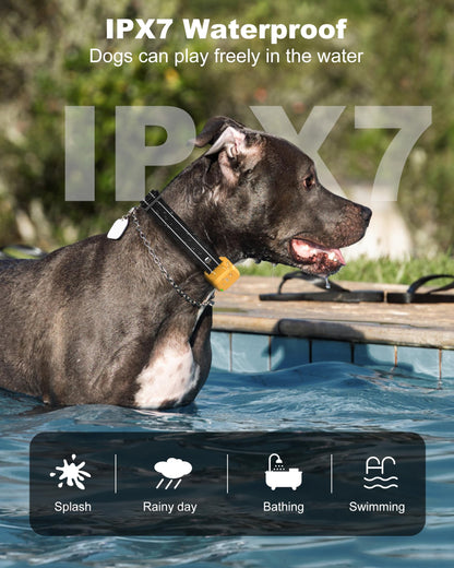 Jugbow Dog Shock Collar