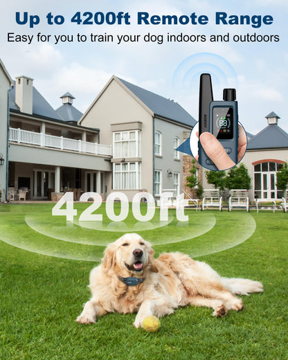 Jugbow Dog Shock Collar