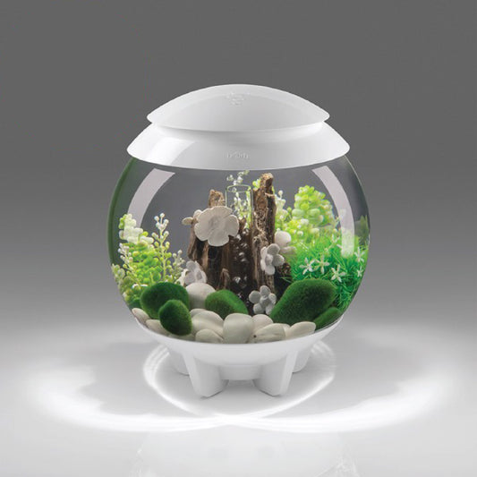 biOrb Halo 15 LED Tank, 4-Gal