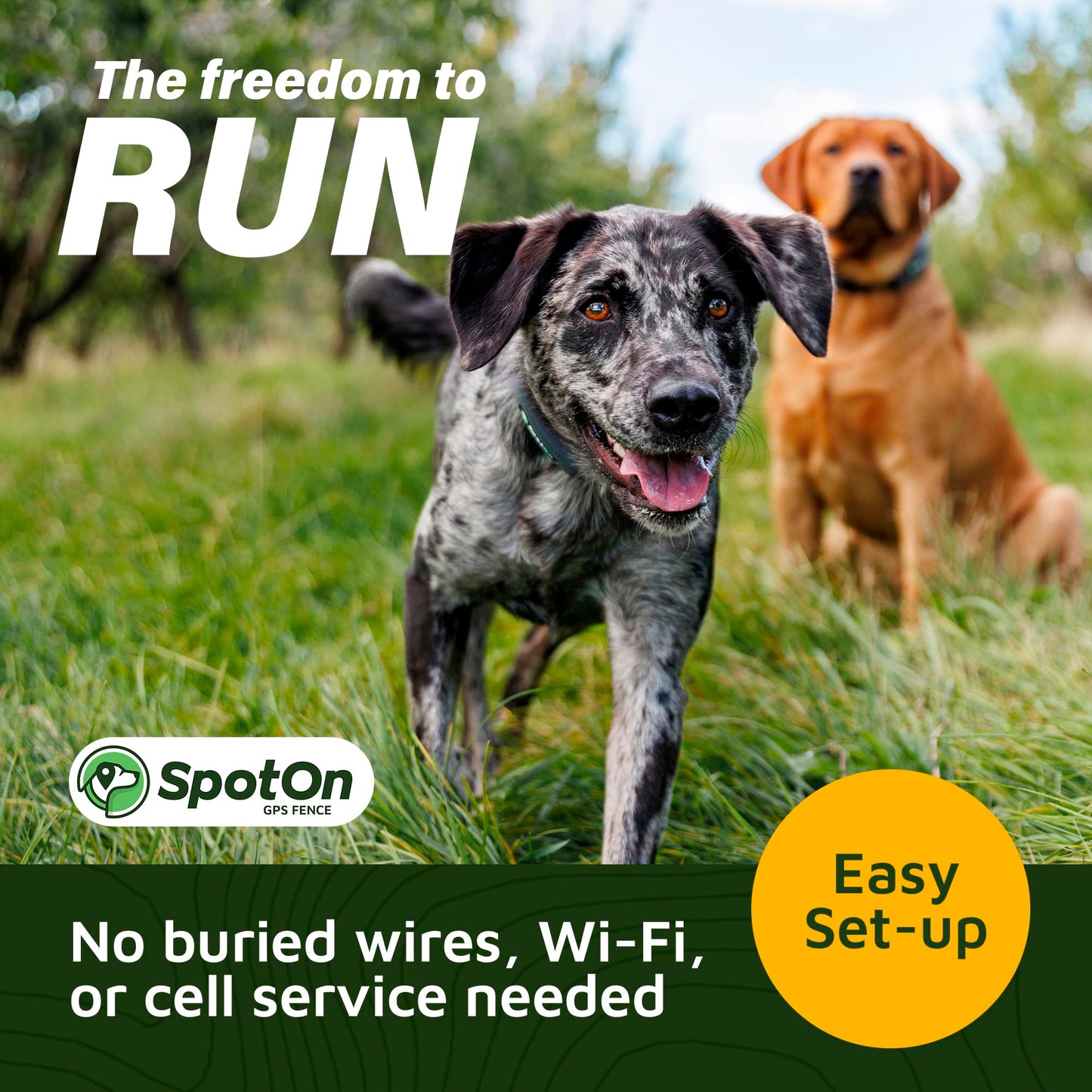 SpotOn GPS Wireless Dog Fence Collar, Accurate & Reliable, Unlimited Fences, Extended Battery Life Mode, No Subscription, Built in USA, Omni Collar Model, Large Dog Breed Neck Size 19"-26"