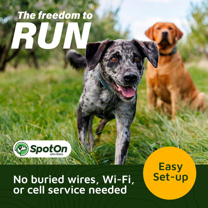 SpotOn GPS Wireless Dog Fence Collar, Accurate & Reliable, Unlimited Fences, Extended Battery Life Mode, No Subscription, Built in USA, Omni Collar Model, Large Dog Breed Neck Size 19"-26"