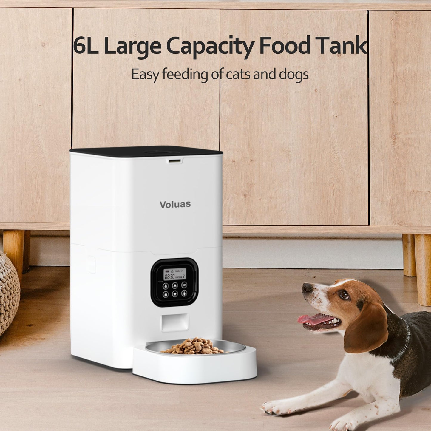 Auto Cat & Dog Feeder with Timer & Voice