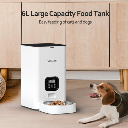 Auto Cat & Dog Feeder with Timer & Voice