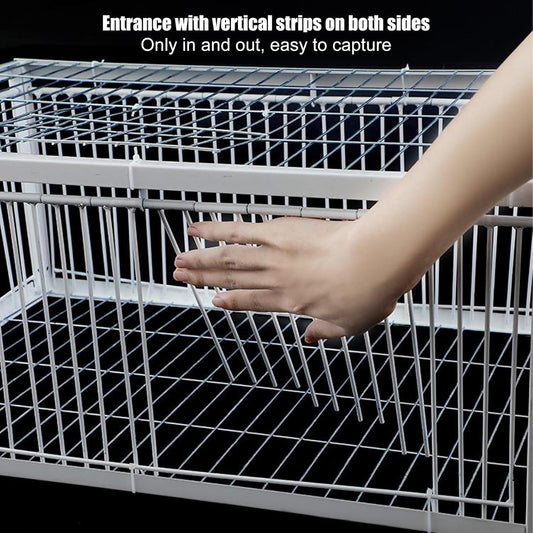 Pigeon Trap Cage 90x60x26cm