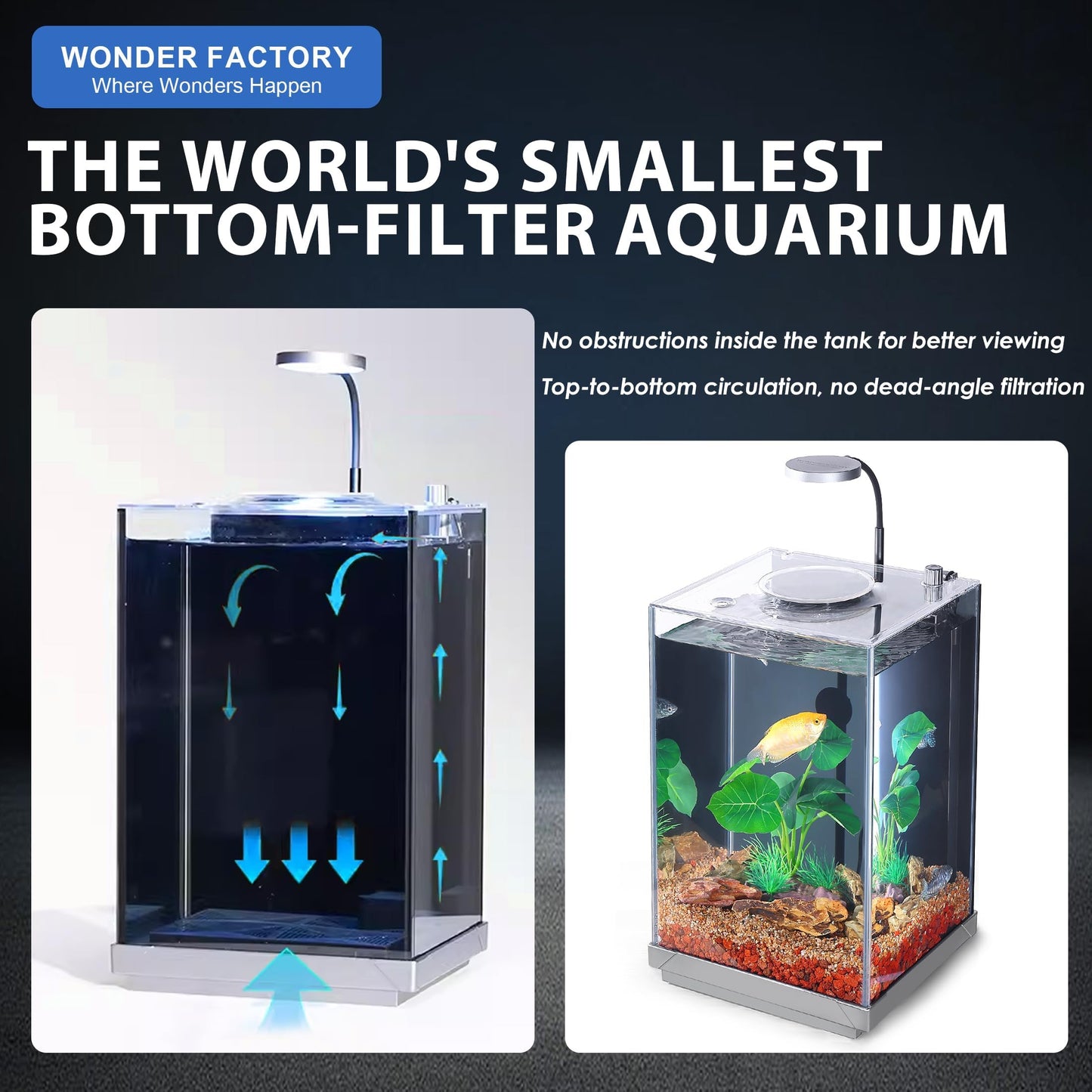 Betta Fish Tank 1.25 Gal Starter Kit